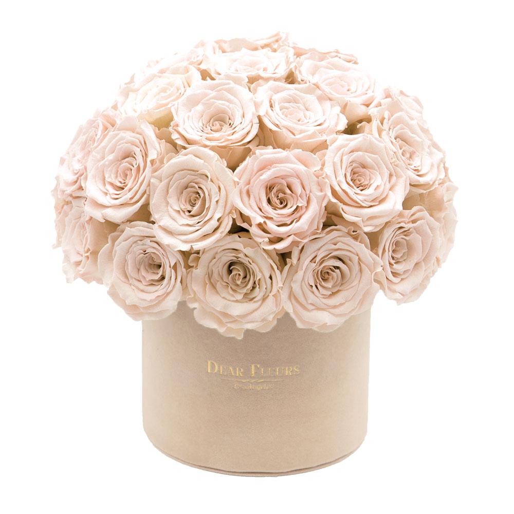 Dear Fleurs Dome Velvet Roses Champagne Dome Velvet Roses - Beige Box