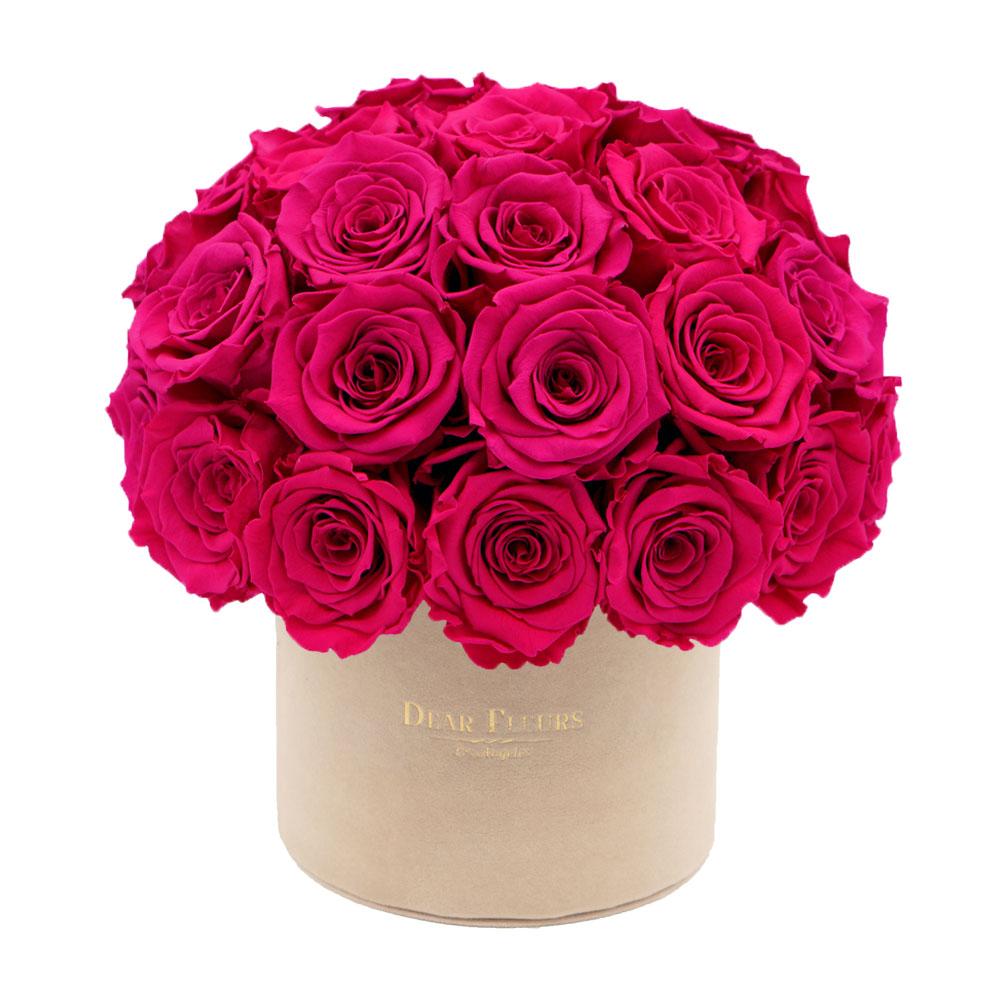 Dear Fleurs Dome Velvet Roses Hot Pink Dome Velvet Roses - Beige Box