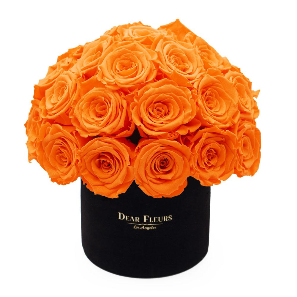 Dear Fleurs Dome Velvet Roses Orange Dome Velvet Roses - Black Box