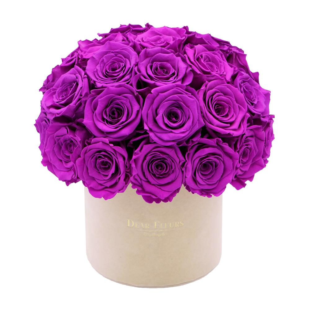 Dear Fleurs Dome Velvet Roses Purple Dome Velvet Roses - Beige Box