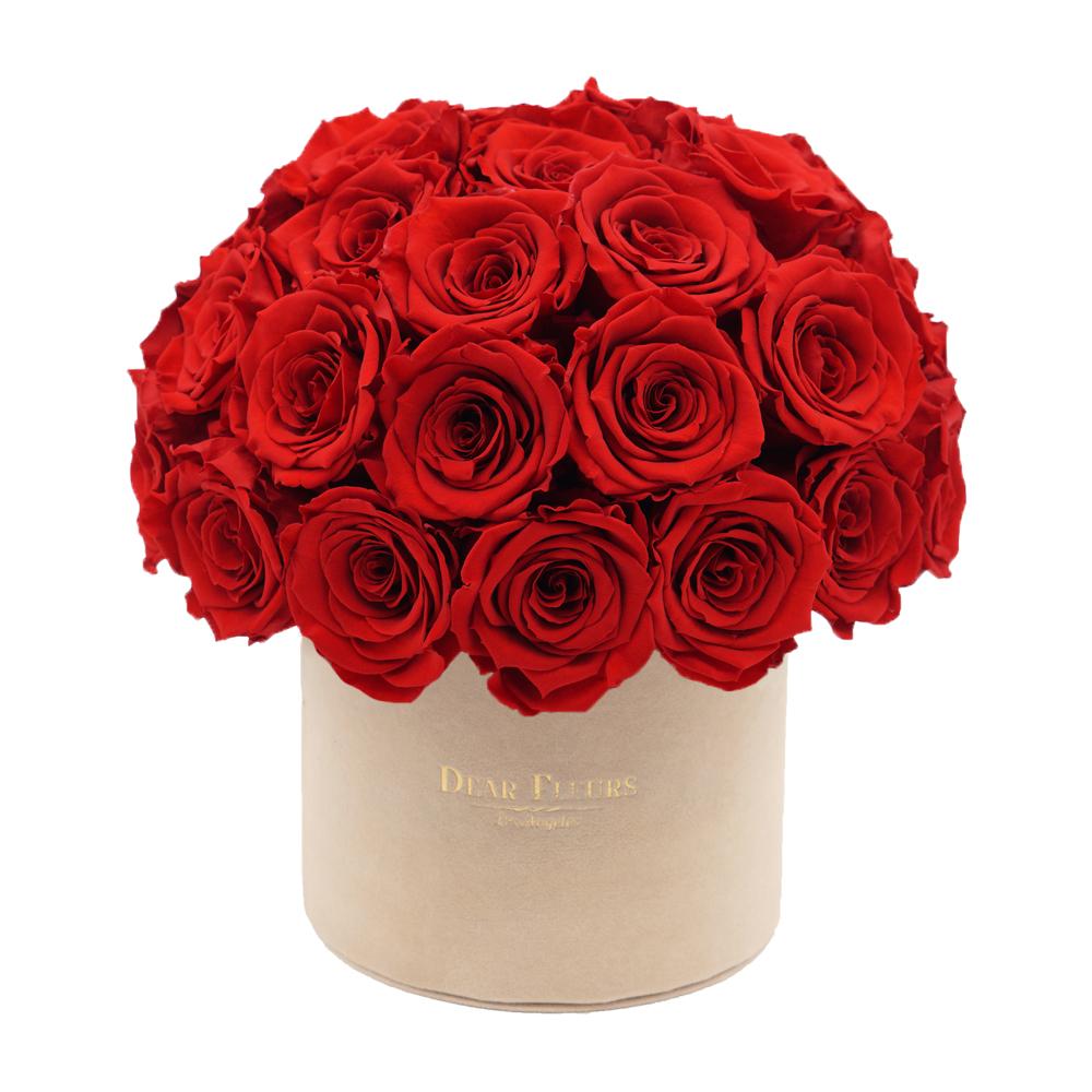 Dear Fleurs Dome Velvet Roses Red Dome Velvet Roses - Beige Box