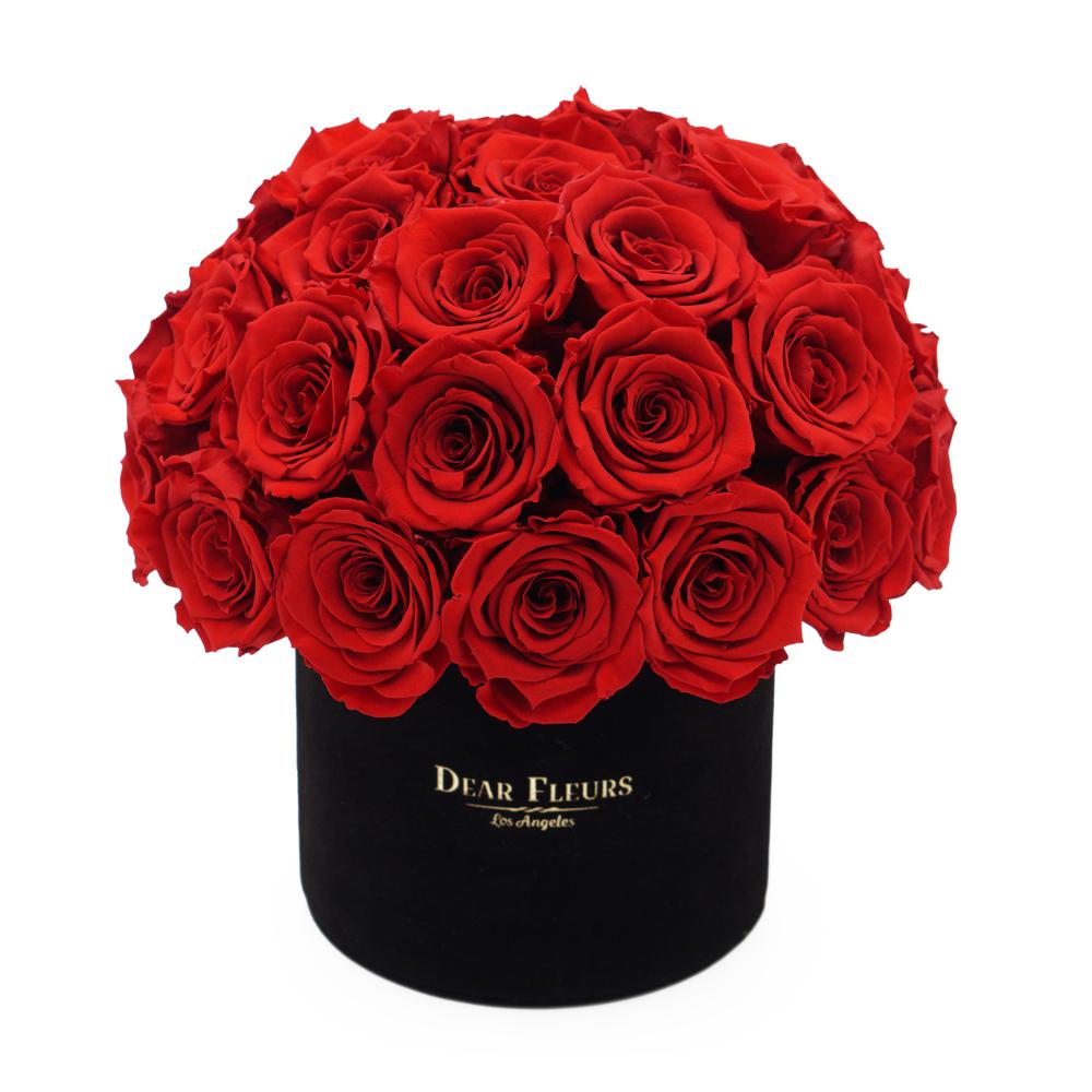 Dear Fleurs Dome Velvet Roses Red Dome Velvet Roses - Black Box