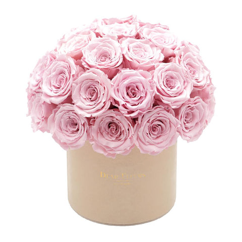 Dome Velvet Roses - Beige Box