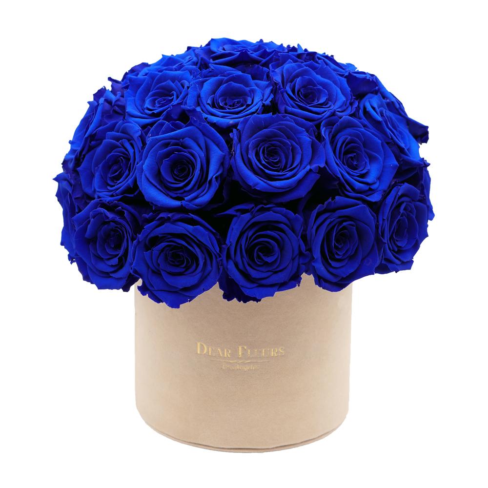 Dear Fleurs Dome Velvet Roses Royal Blue Dome Velvet Roses - Beige Box