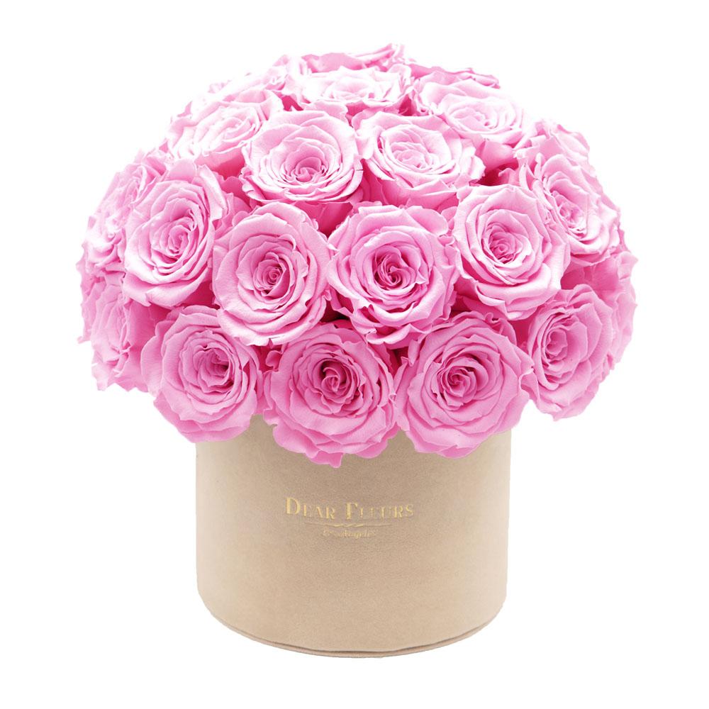 Dear Fleurs Dome Velvet Roses Sweet Pink Dome Velvet Roses - Beige Box