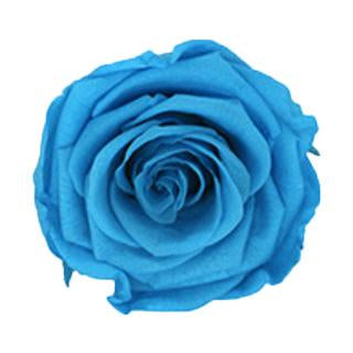 Dear Fleurs Large Velvet Roses Turquoise Large Velvet Roses - Blue Box