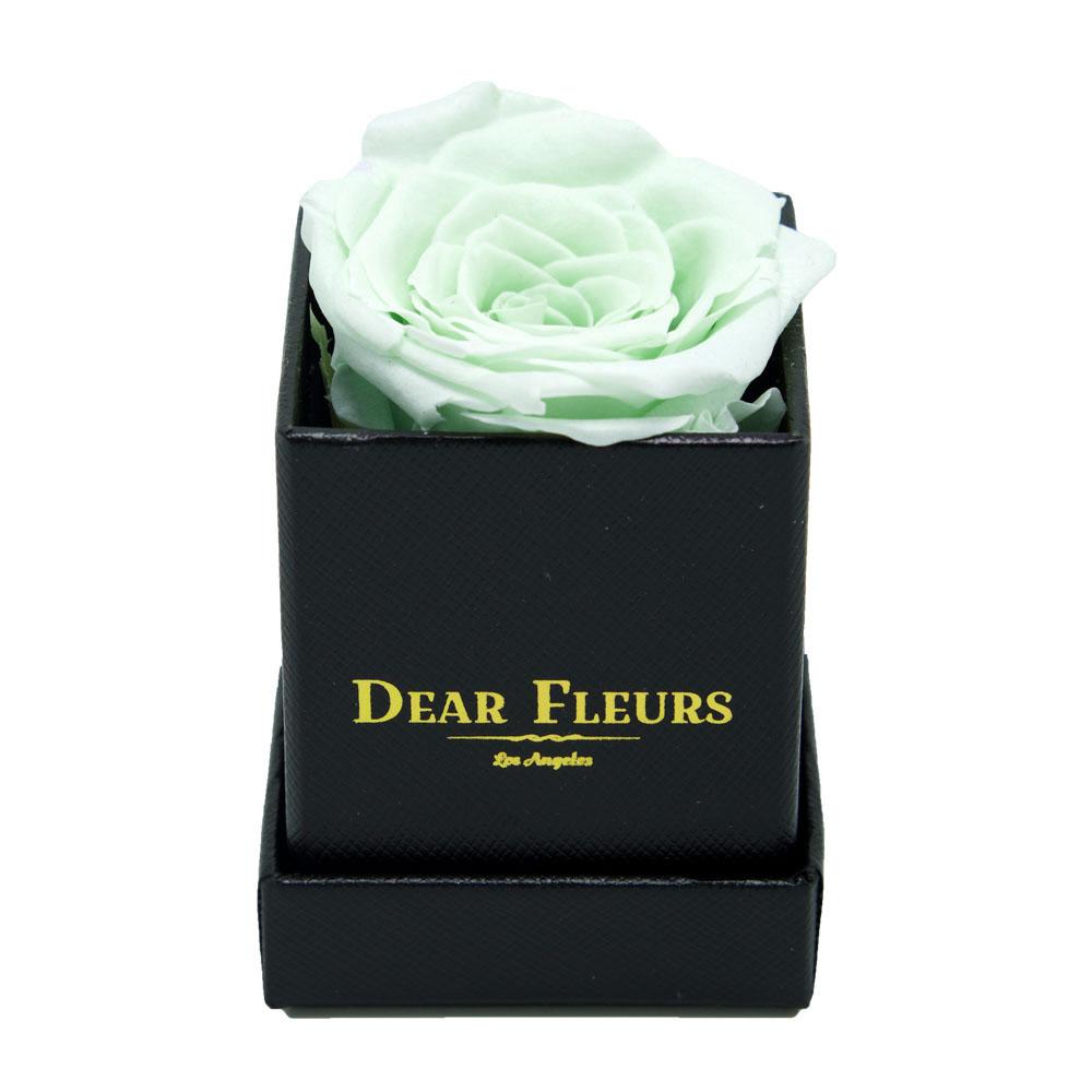 Dear Fleurs Petit Rose Apple Green Petit Rose - Black Box