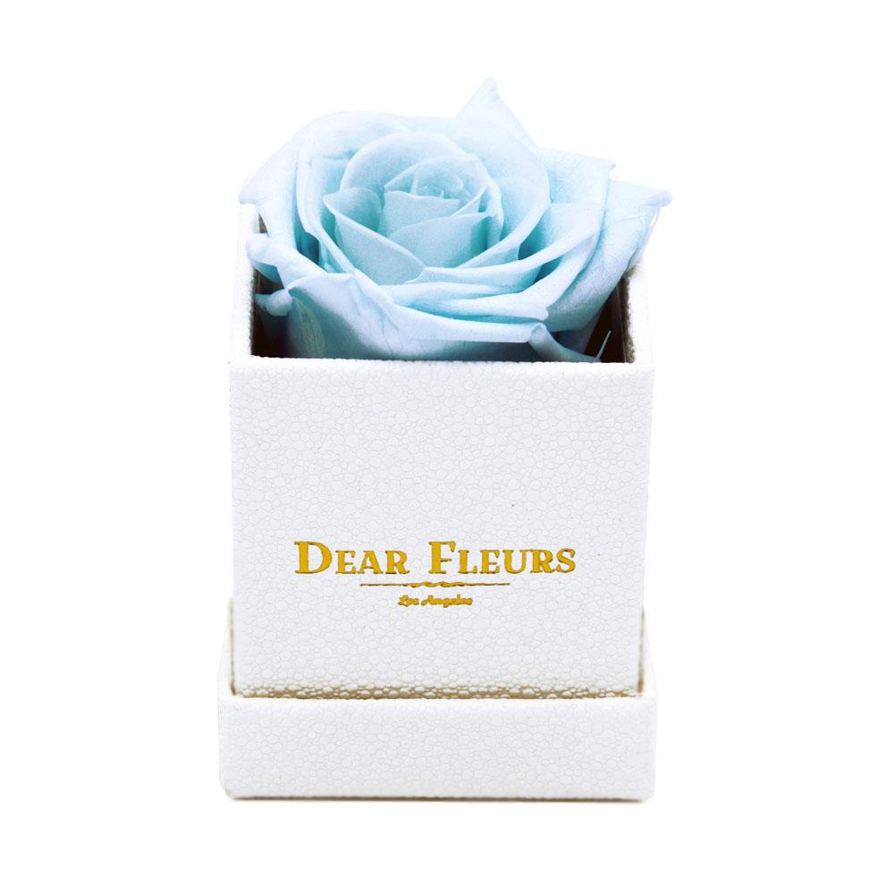Dear Fleurs Petit Rose Baby Blue Petit Rose - White Box