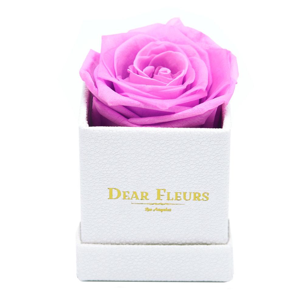 Dear Fleurs Petit Rose Bubblegum Pink Petit Rose - White Box