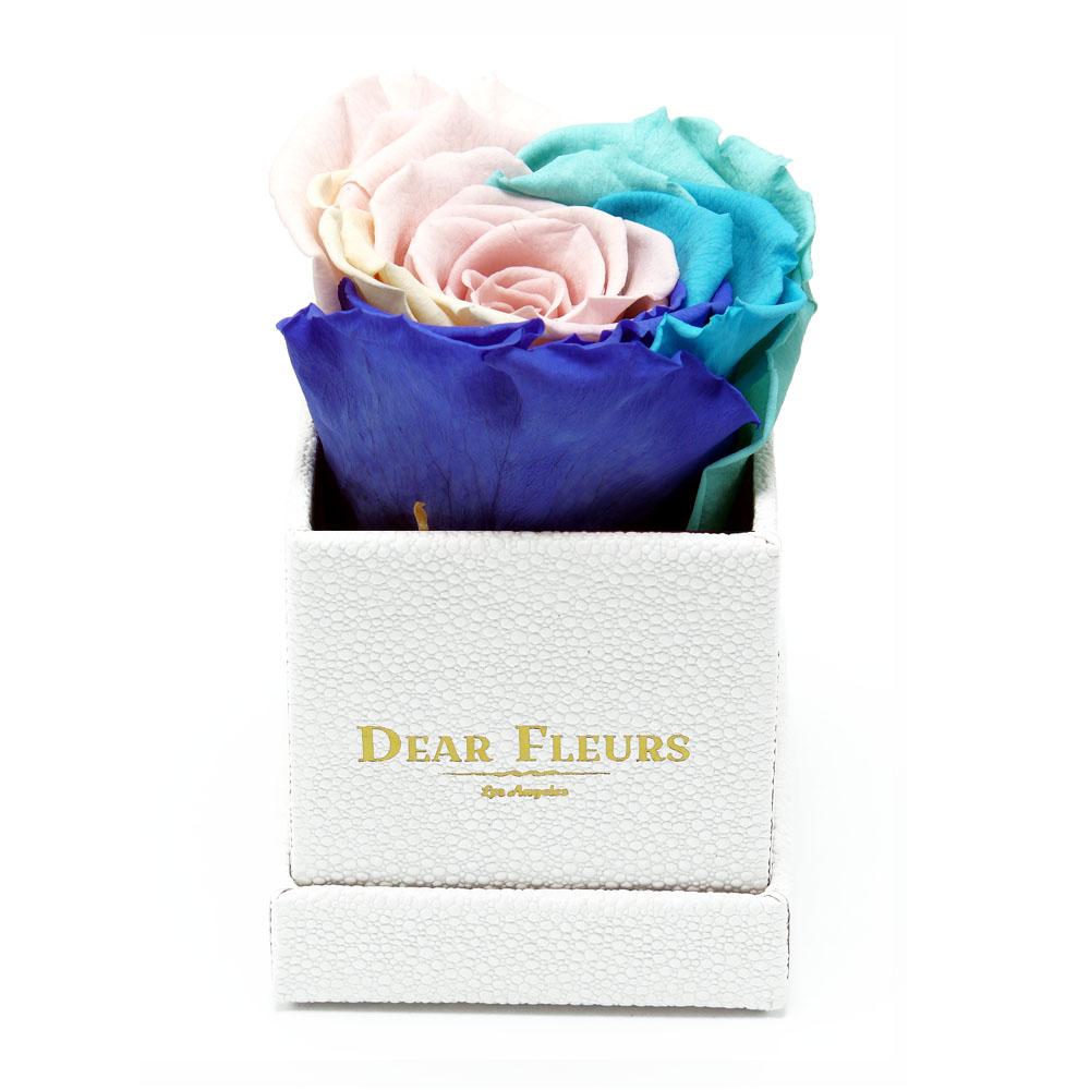 Dear Fleurs Petit Rose Candy Rainbow Petit Rose - White Box