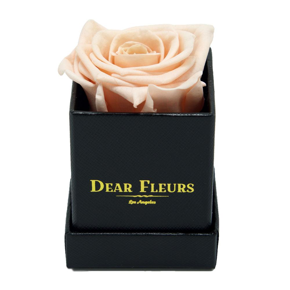 Dear Fleurs Petit Rose Champagne Petit Rose - Black Box