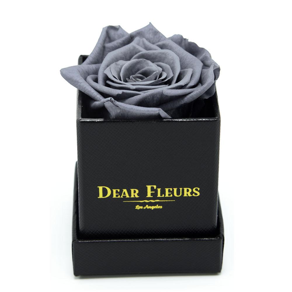 Dear Fleurs Petit Rose Gray Petit Rose - Black Box