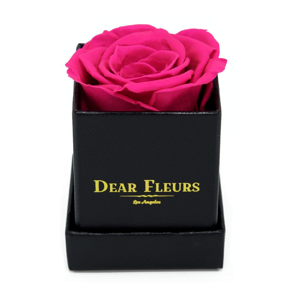 Dear Fleurs Petit Rose Hot Pink Petit Rose - Black Box