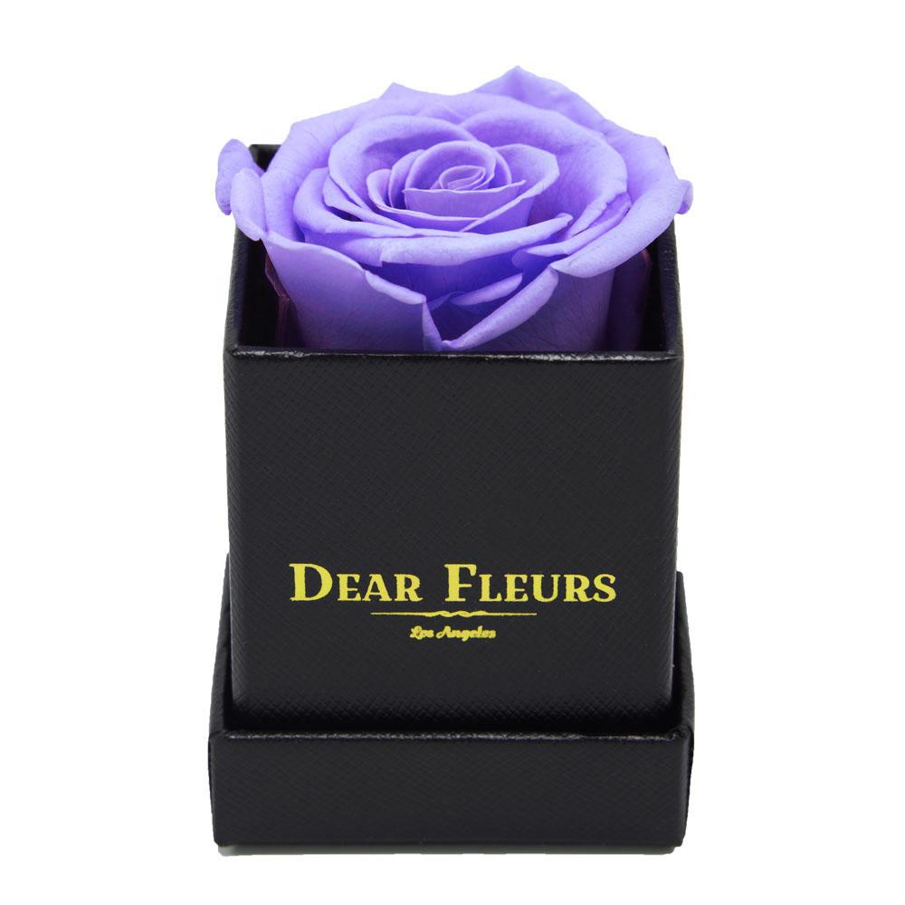 Dear Fleurs Petit Rose Lavender Petit Rose - Black Box