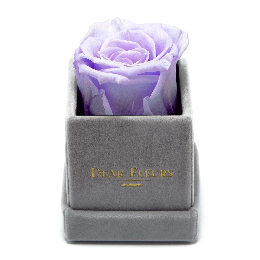 Dear Fleurs Petit Rose Lavender Petit Rose - Gray Velvet