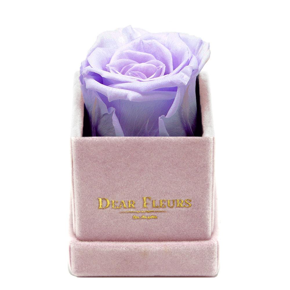 Dear Fleurs Petit Rose Lavender Petit Rose - Pink Velvet