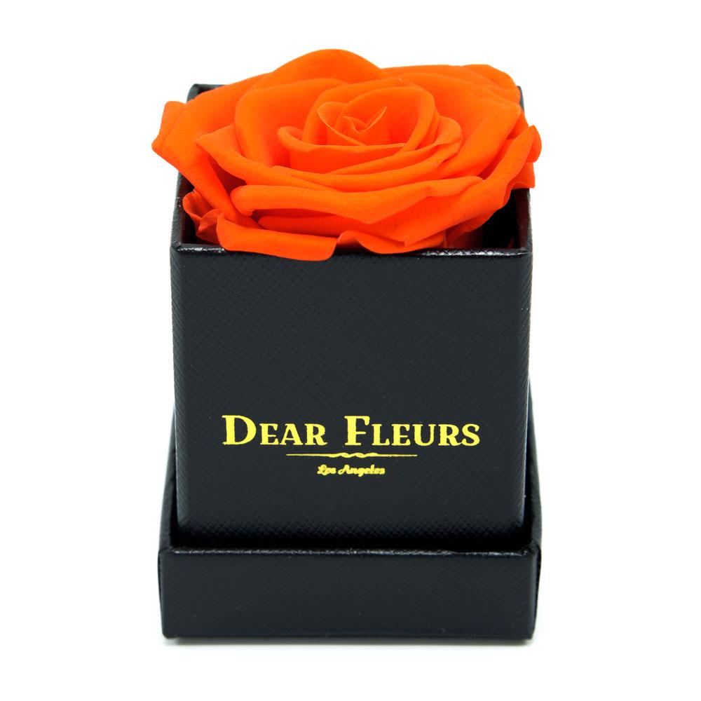 Dear Fleurs Petit Rose Orange Petit Rose - Black Box