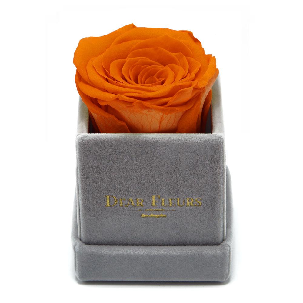 Dear Fleurs Petit Rose Orange Petit Rose - Gray Velvet