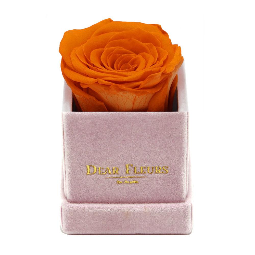 Dear Fleurs Petit Rose Orange Petit Rose - Pink Velvet