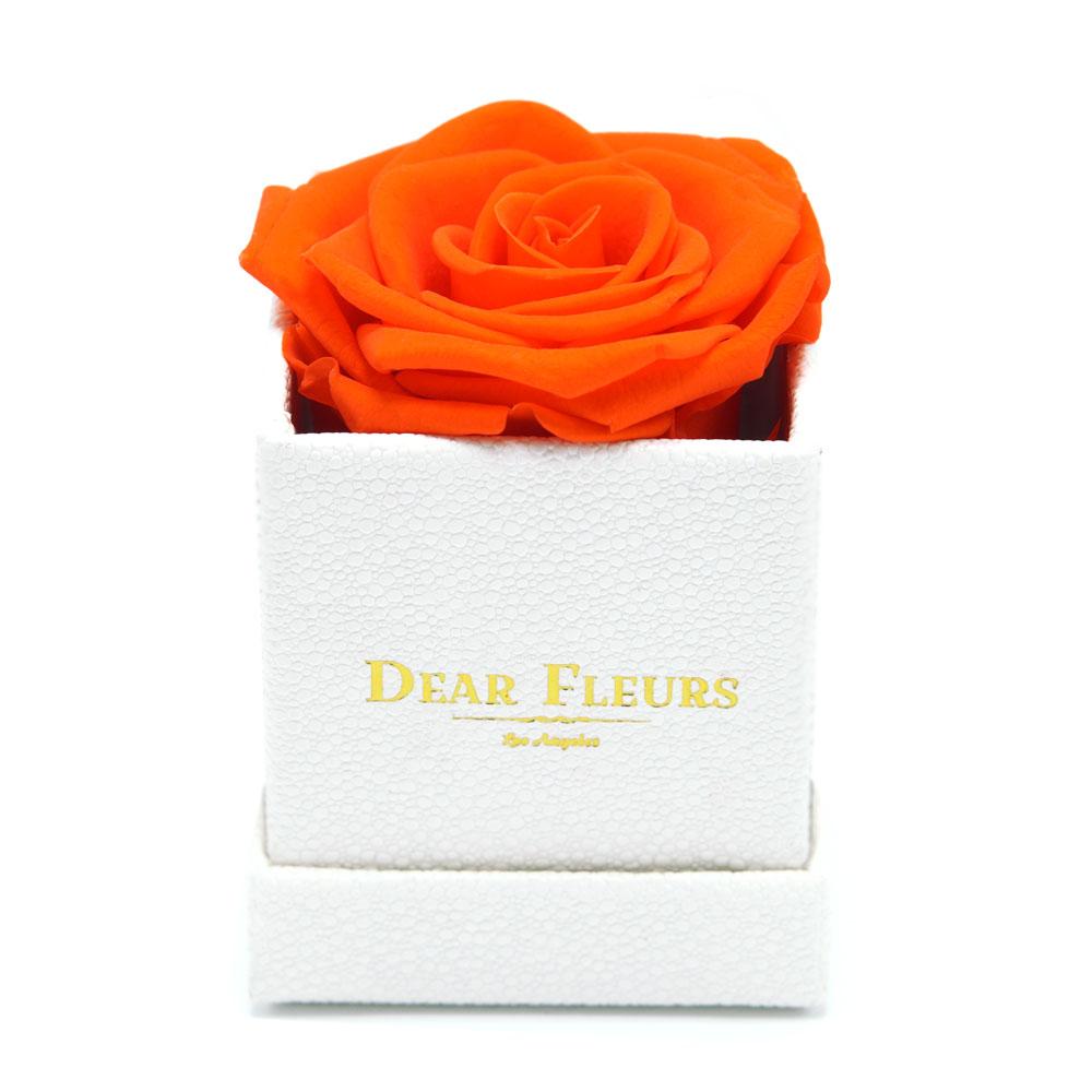 Dear Fleurs Petit Rose Orange Petit Rose - White Box
