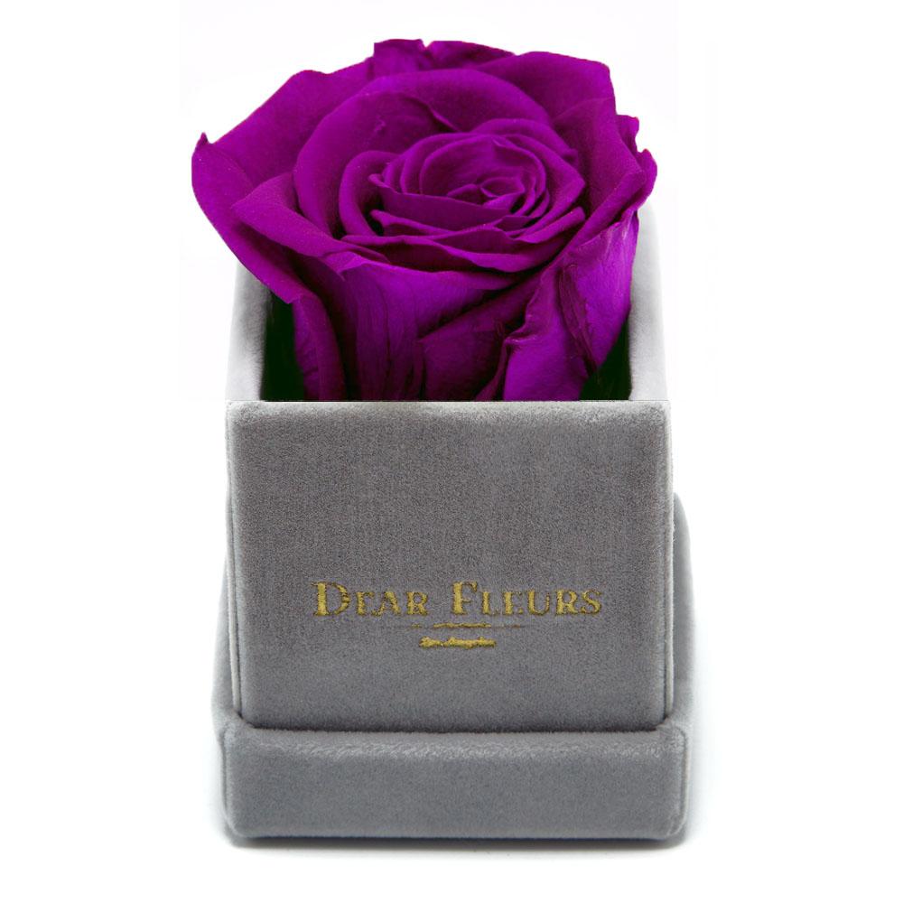 Dear Fleurs Petit Rose Purple Petit Rose - Gray Velvet