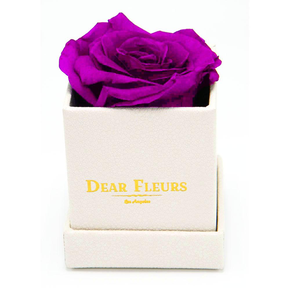 Dear Fleurs Petit Rose Purple Petit Rose - White Box