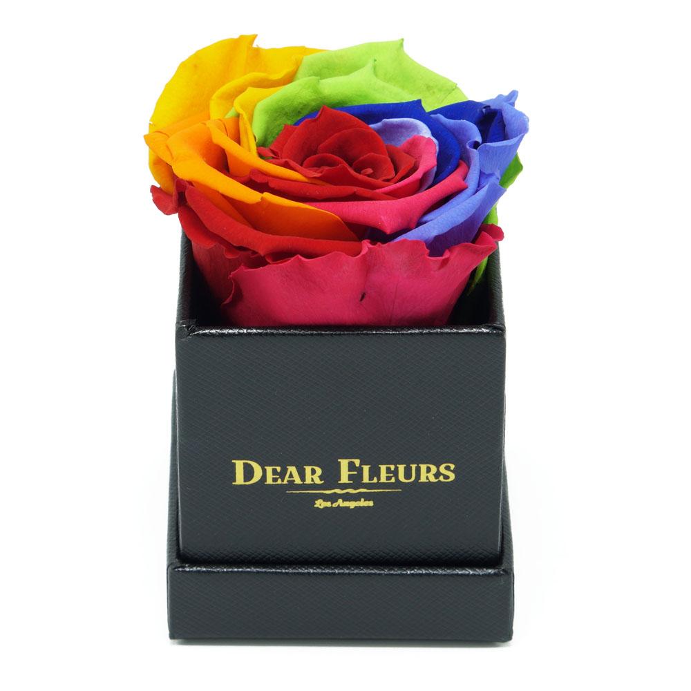 Dear Fleurs Petit Rose Rainbow Petit Rose - Black Box