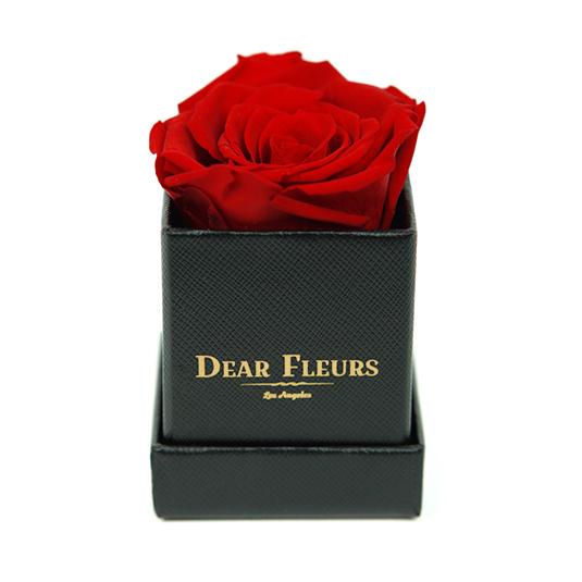 Dear Fleurs Petit Rose Red Petit Rose - Black Box