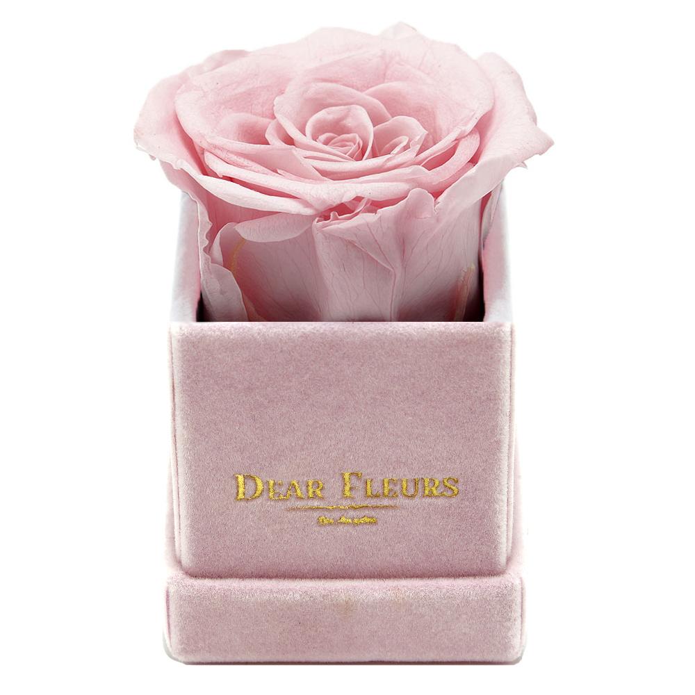 Dear Fleurs Petit Rose Rose Quartz Pink Petit Rose - Pink Velvet