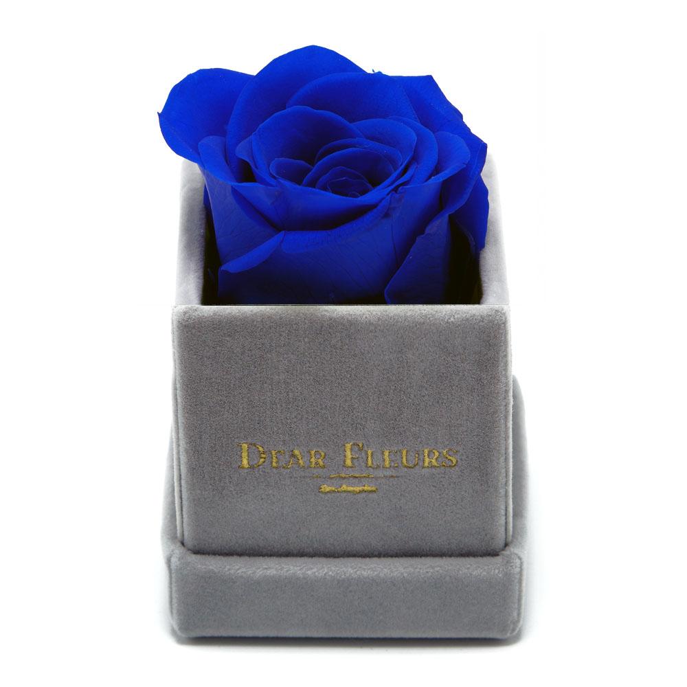 Dear Fleurs Petit Rose Royal Blue Petit Rose - Gray Velvet