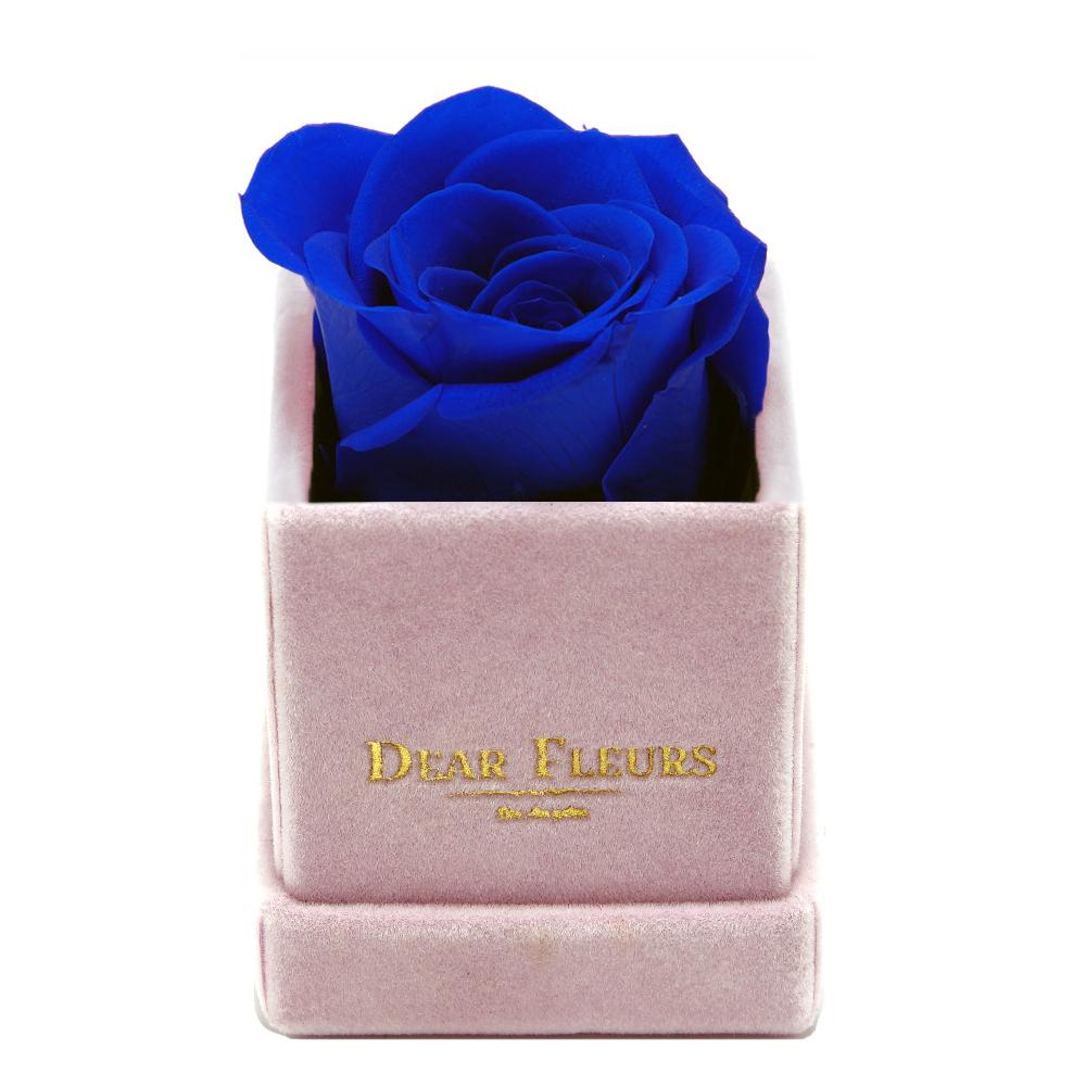 Dear Fleurs Petit Rose Royal Blue Petit Rose - Pink Velvet