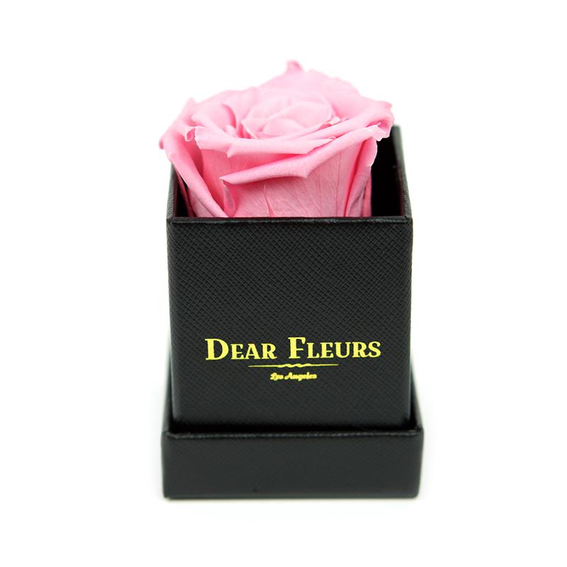 Dear Fleurs Petit Rose Sweet Pink Petit Rose - Black Box