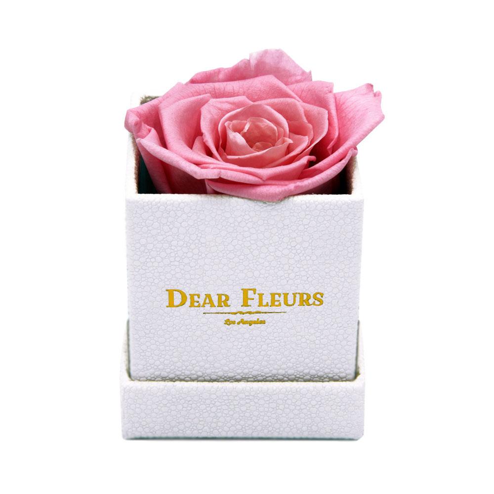 Dear Fleurs Petit Rose Sweet Pink Petit Rose - White Box
