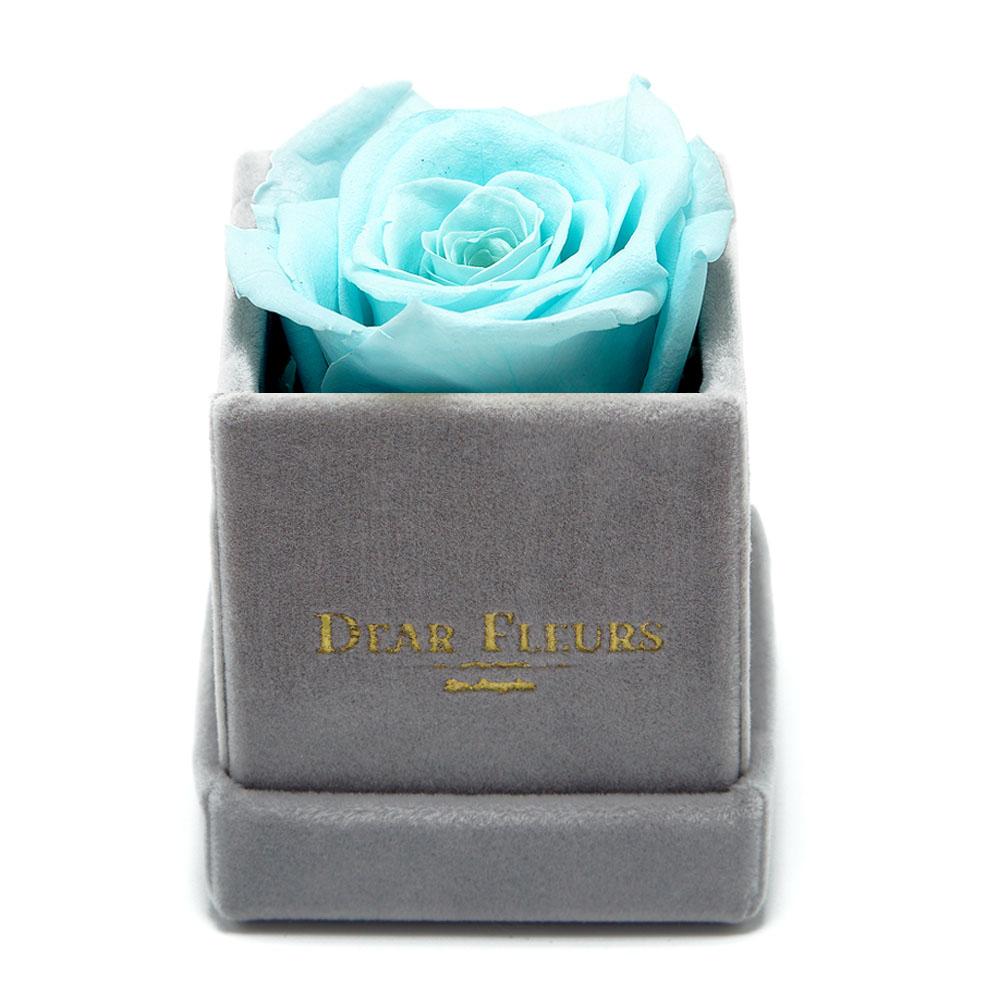 Dear Fleurs Petit Rose Tiffany Blue Petit Rose - Gray Velvet