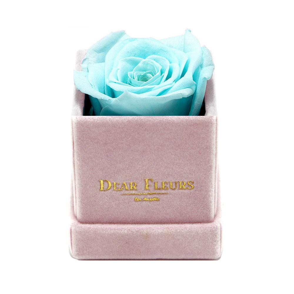 Dear Fleurs Petit Rose Tiffany Blue Petit Rose - Pink Velvet