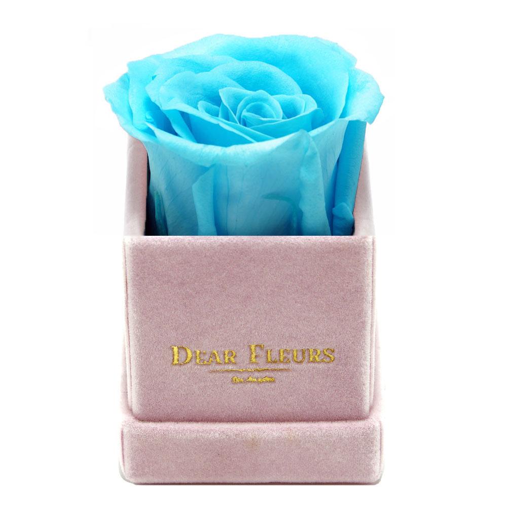 Dear Fleurs Petit Rose Turquoise Petit Rose - Pink Velvet