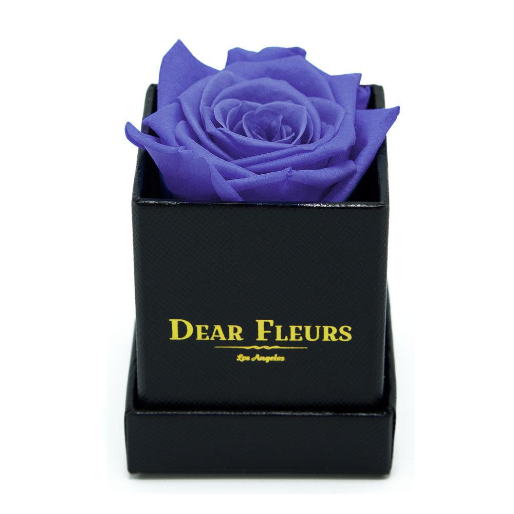 Dear Fleurs Petit Rose Violet Petit Rose - Black Box