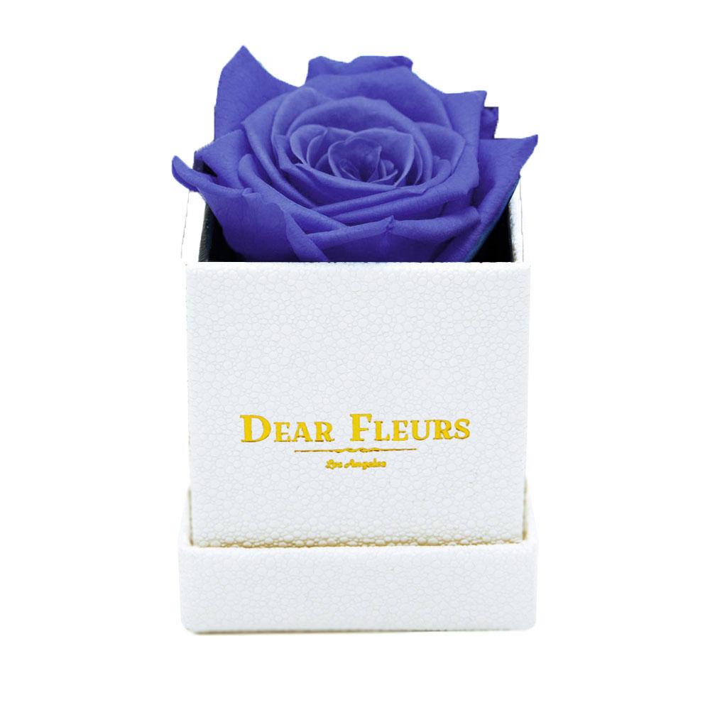 Dear Fleurs Petit Rose Violet Petit Rose - White Box