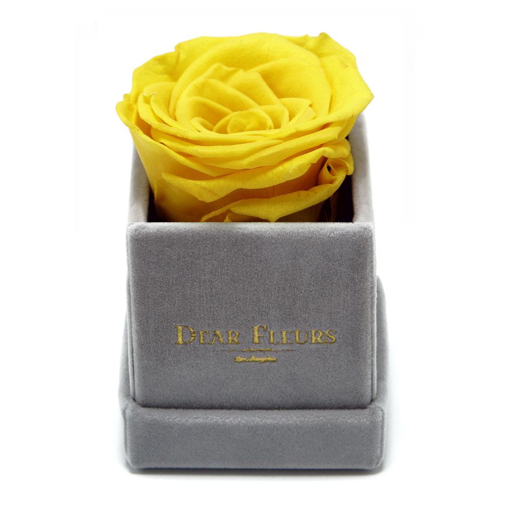 Dear Fleurs Petit Rose Yellow Petit Rose - Gray Velvet