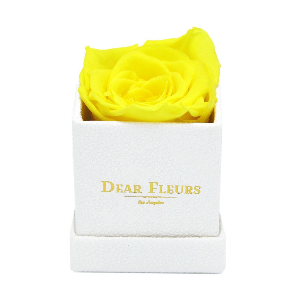 Dear Fleurs Petit Rose Yellow Petit Rose - White Box