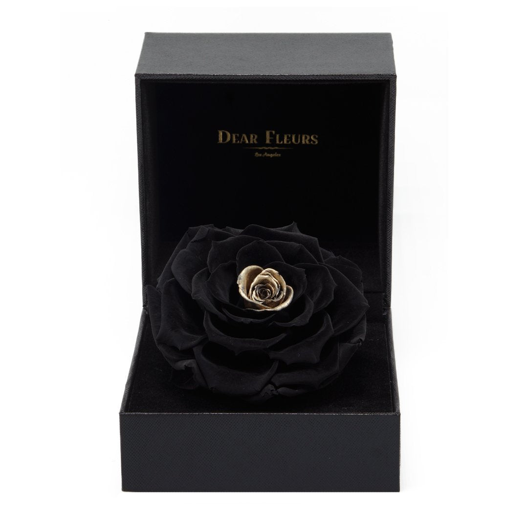 Dear Fleurs Premium Rose Black / Gold Premium Rose