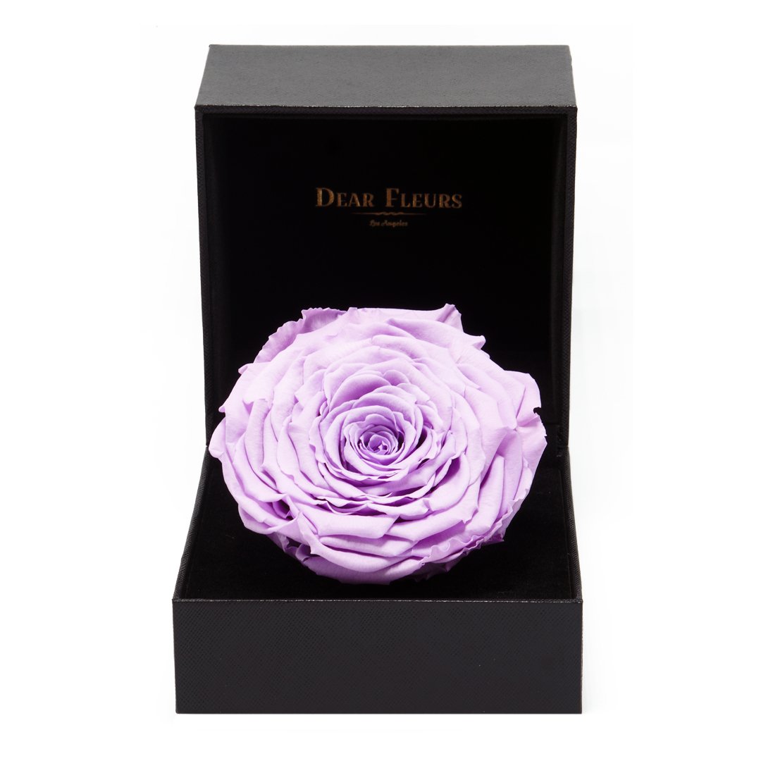 Dear Fleurs Premium Rose Lavender Premium Rose