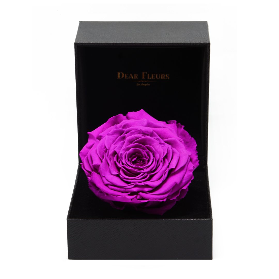 Dear Fleurs Premium Rose Premium Rose