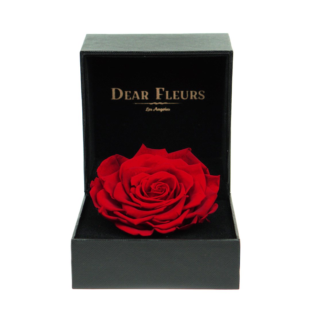 Dear Fleurs Premium Rose Red Premium Rose