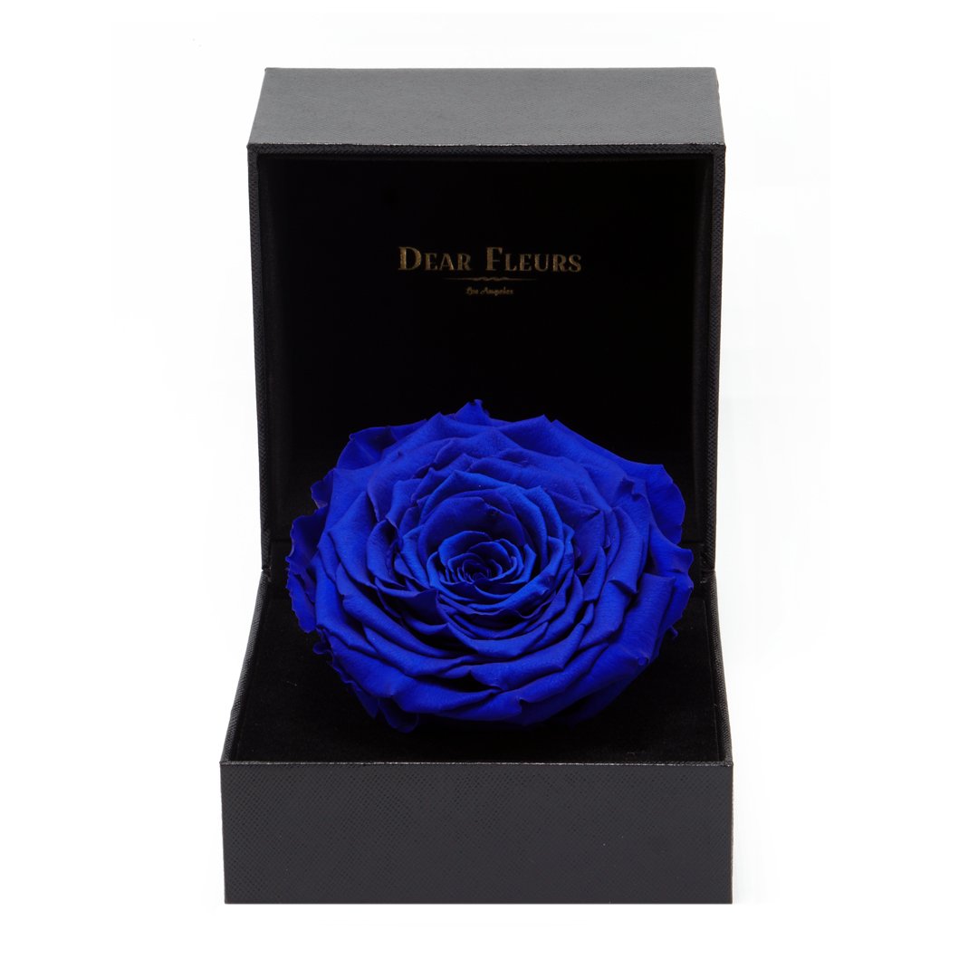 Dear Fleurs Premium Rose Royal Blue Premium Rose