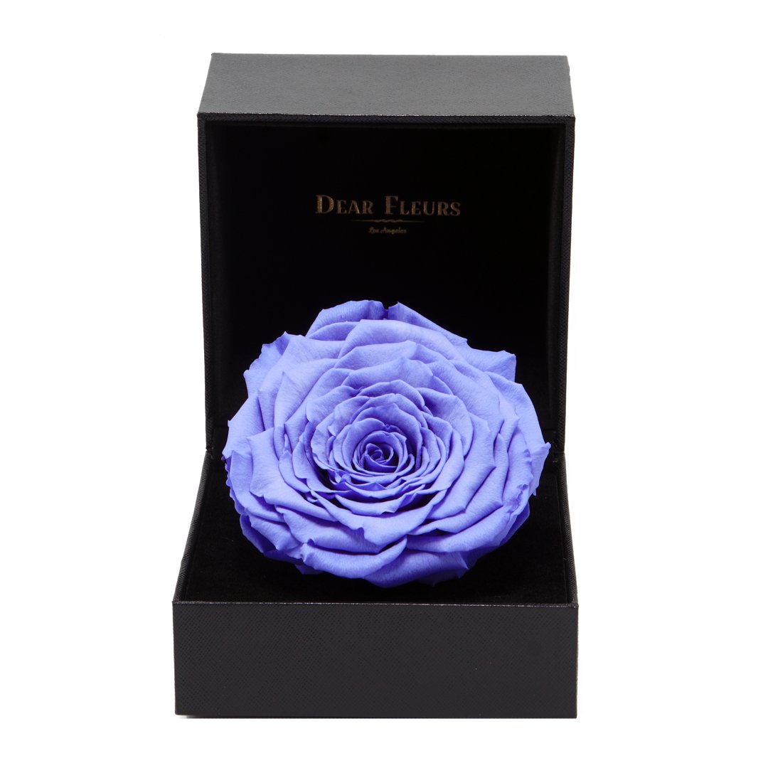 Dear Fleurs Premium Rose Violet Premium Rose