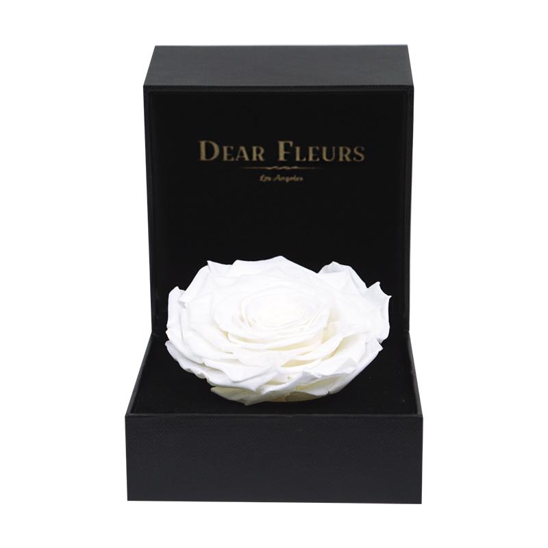 Dear Fleurs Premium Rose White Premium Rose