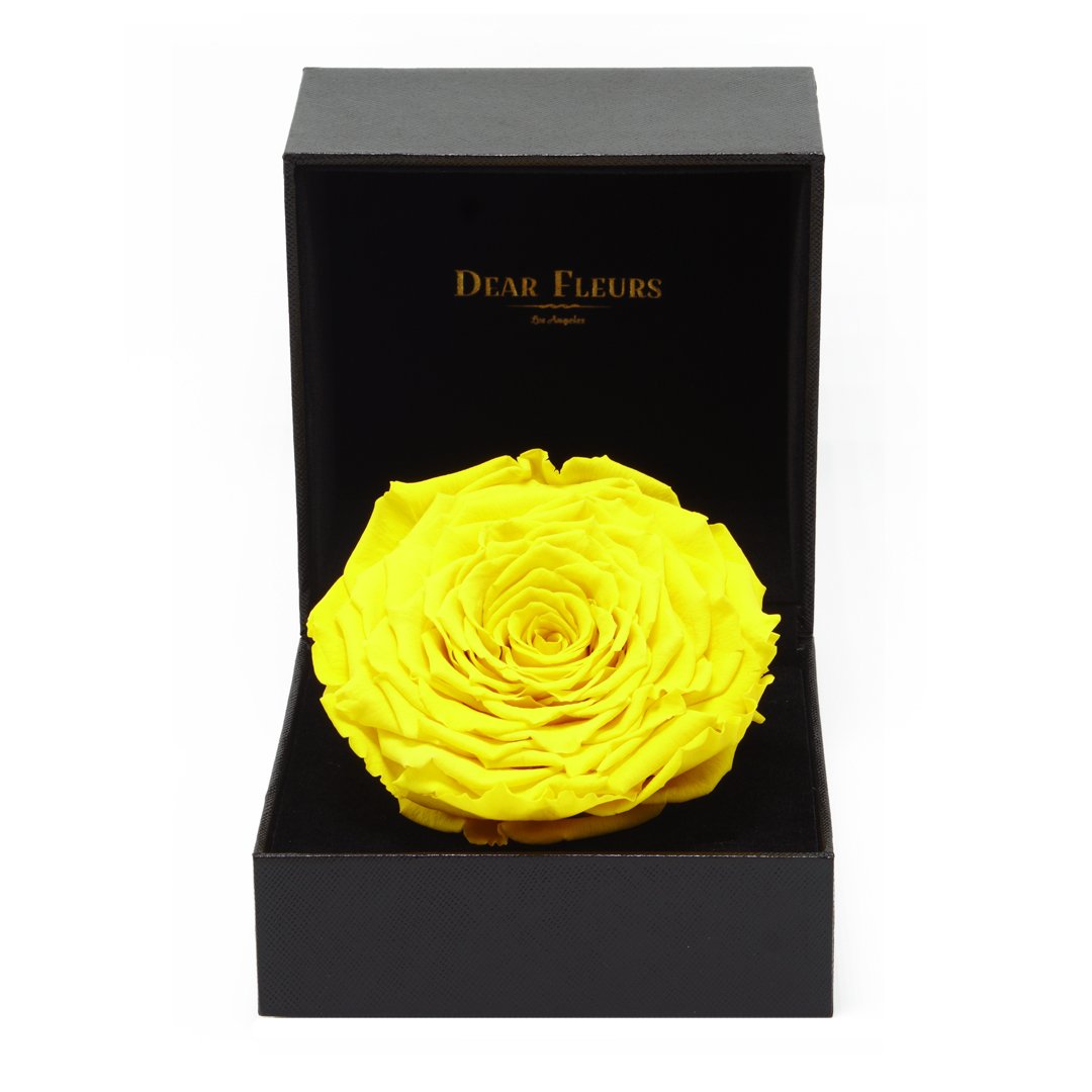 Dear Fleurs Premium Rose Yellow Premium Rose