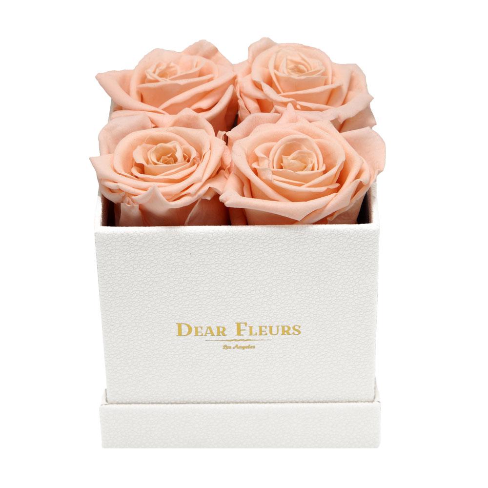 Dear Fleurs Small Square Roses Champagne Small Square Roses - White Box
